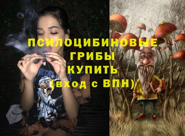 ешки Бугульма