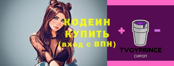 герыч Бронницы