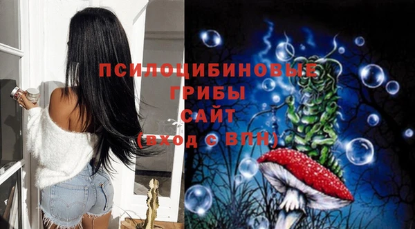 ешки Бугульма