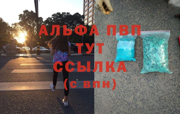 эйфоретик Бородино